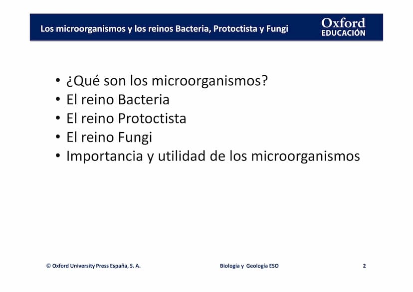 Oxford
EDUCACIÓN
TEMA 3: LOS
MICROORGANISMOS Y
LOS REINOS BACTERIA,
PROTOCTISTA Y FUNGI
Biología y Geología
DOMI MINA Los microorganismos y 