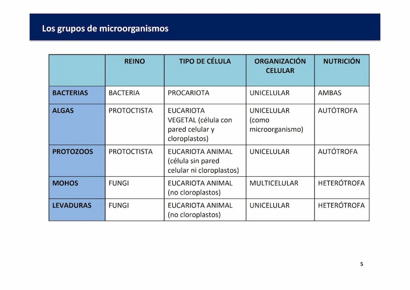 Oxford
EDUCACIÓN
TEMA 3: LOS
MICROORGANISMOS Y
LOS REINOS BACTERIA,
PROTOCTISTA Y FUNGI
Biología y Geología
DOMI MINA Los microorganismos y 