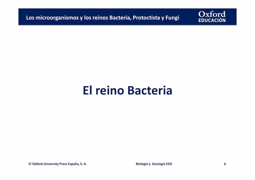 Oxford
EDUCACIÓN
TEMA 3: LOS
MICROORGANISMOS Y
LOS REINOS BACTERIA,
PROTOCTISTA Y FUNGI
Biología y Geología
DOMI MINA Los microorganismos y 