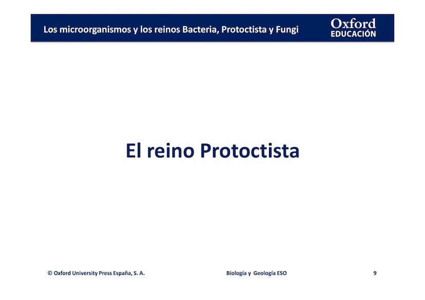 Oxford
EDUCACIÓN
TEMA 3: LOS
MICROORGANISMOS Y
LOS REINOS BACTERIA,
PROTOCTISTA Y FUNGI
Biología y Geología
DOMI MINA Los microorganismos y 
