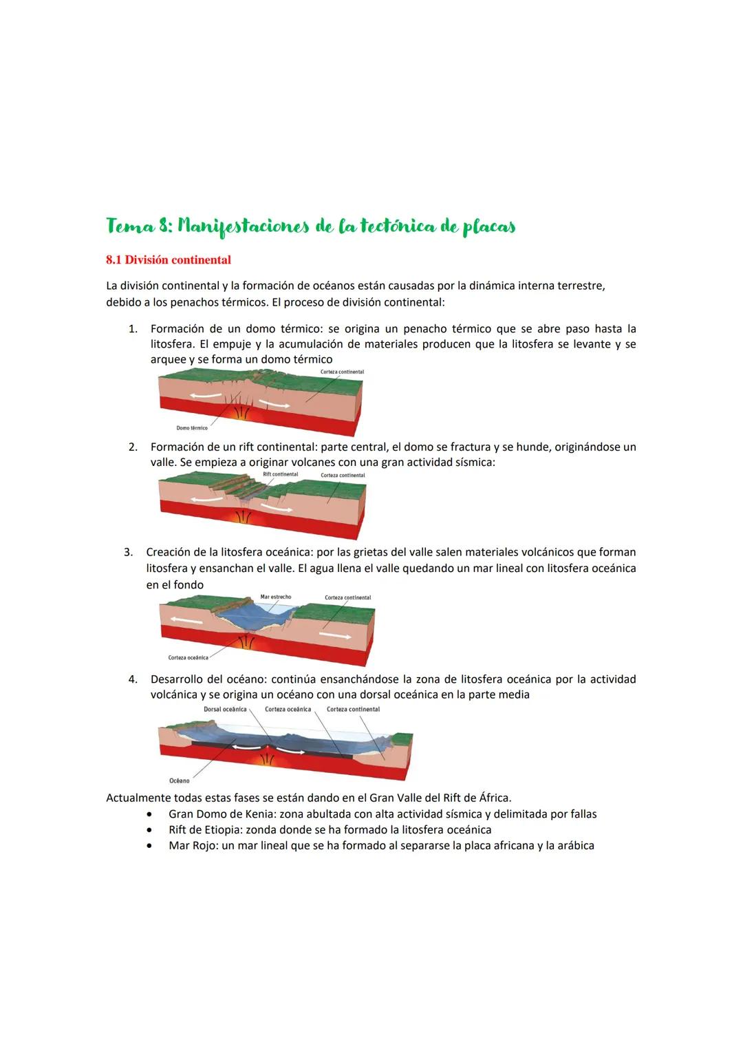 Tema 8: Manifestaciones de la tectónica de placas
8.1 División continental
La división continental y la formación de océanos están causadas 