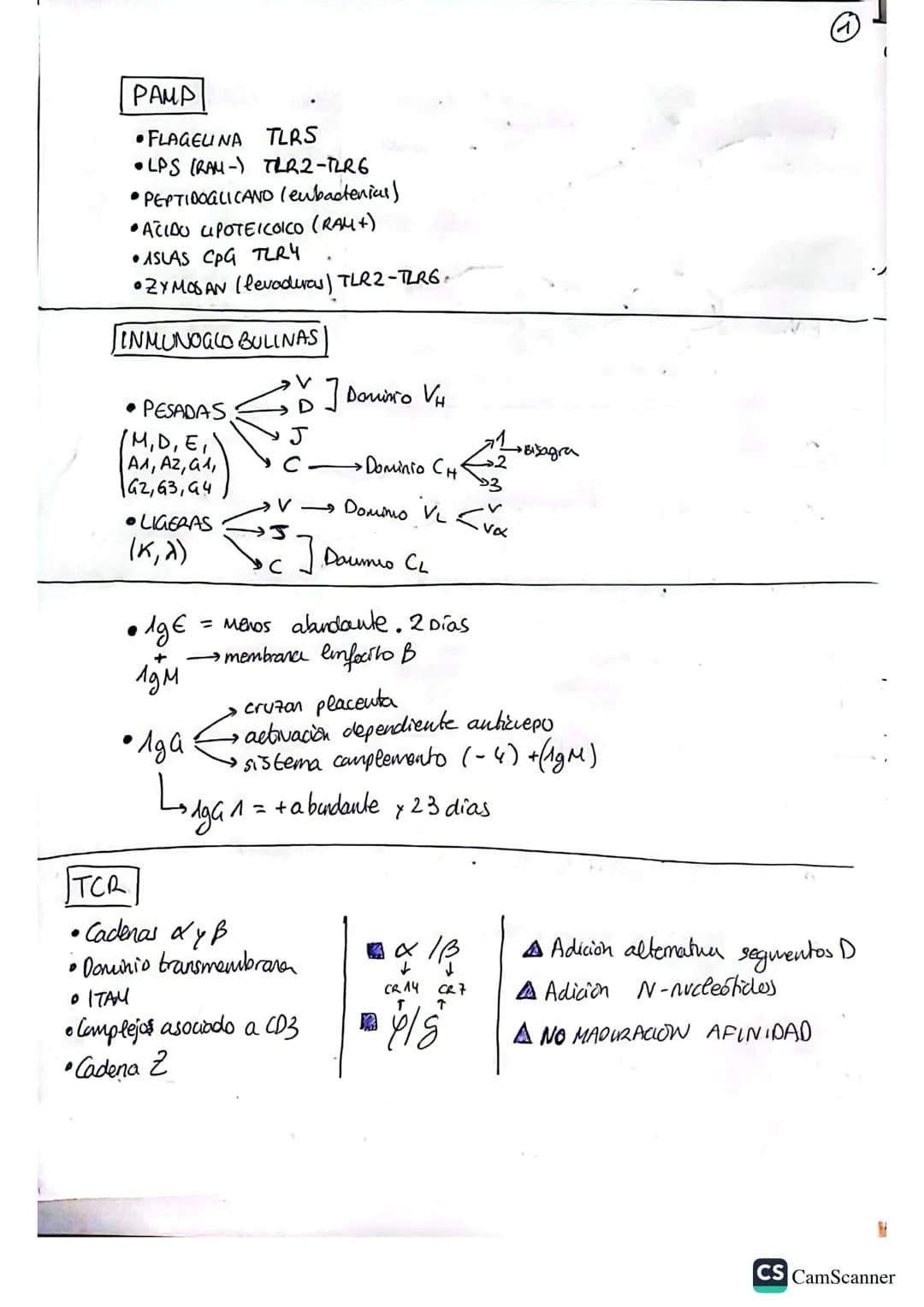 PAMP
FLAGEUNA TLRS
LPS (RAM-) TLR2-TLR6
•PEPTIDOGLICAND (eubacterial)
•ACIDO UPOTEICOICO (RAM +)
ASLAS CPG TLRY
•ZYMOSAN (levaduras).
INMUNO