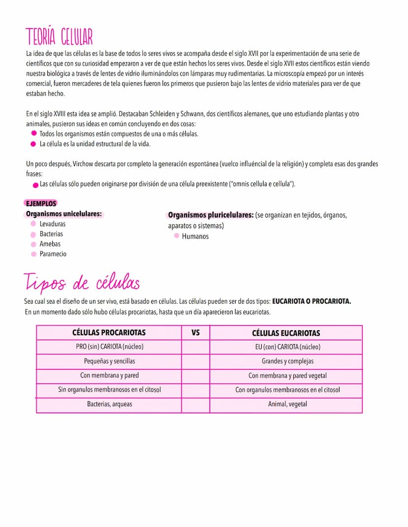 TEMA 2
LA CELULA UNIDAD FUNDAMENTAL DE LA VIDA
TODOS LOS ORGANISMOS ESTÁN ORGANİZADOS EN BASE A CÉLULAS
Concepto de célula y teoría celular.