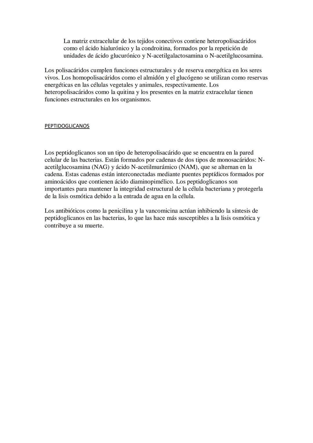 GLÚCIDOS
Los glúcidos, también conocidos como carbohidratos o azúcares, son biomoléculas
orgánicas compuestas por carbono, hidrógeno y oxíge