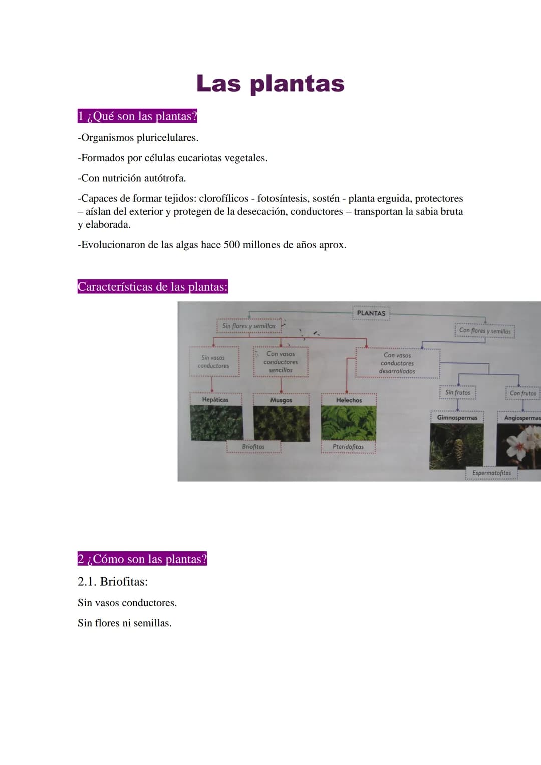 Las plantas
1 ¿Qué son las plantas?
-Organismos pluricelulares.
-Formados por células eucariotas vegetales.
-Con nutrición autótrofa.
-Capac