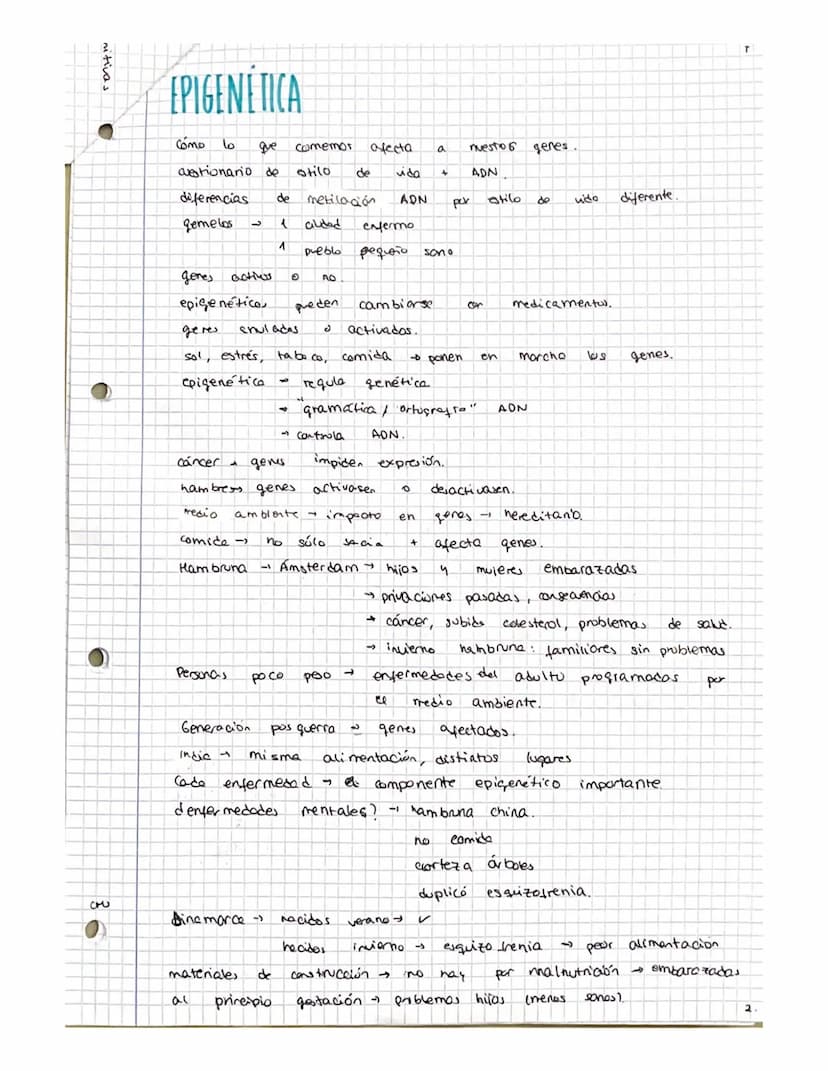 FILOSOFIA T-6
CMS
O
NATURALIZA Y CULTURA
EN 11 SER HUMANO -
BLOQUE IT SER HUMANO Y CULTURA
INTRODUCCIÓN A LA ANTROPOLOGÍA
• toda
concreto
re