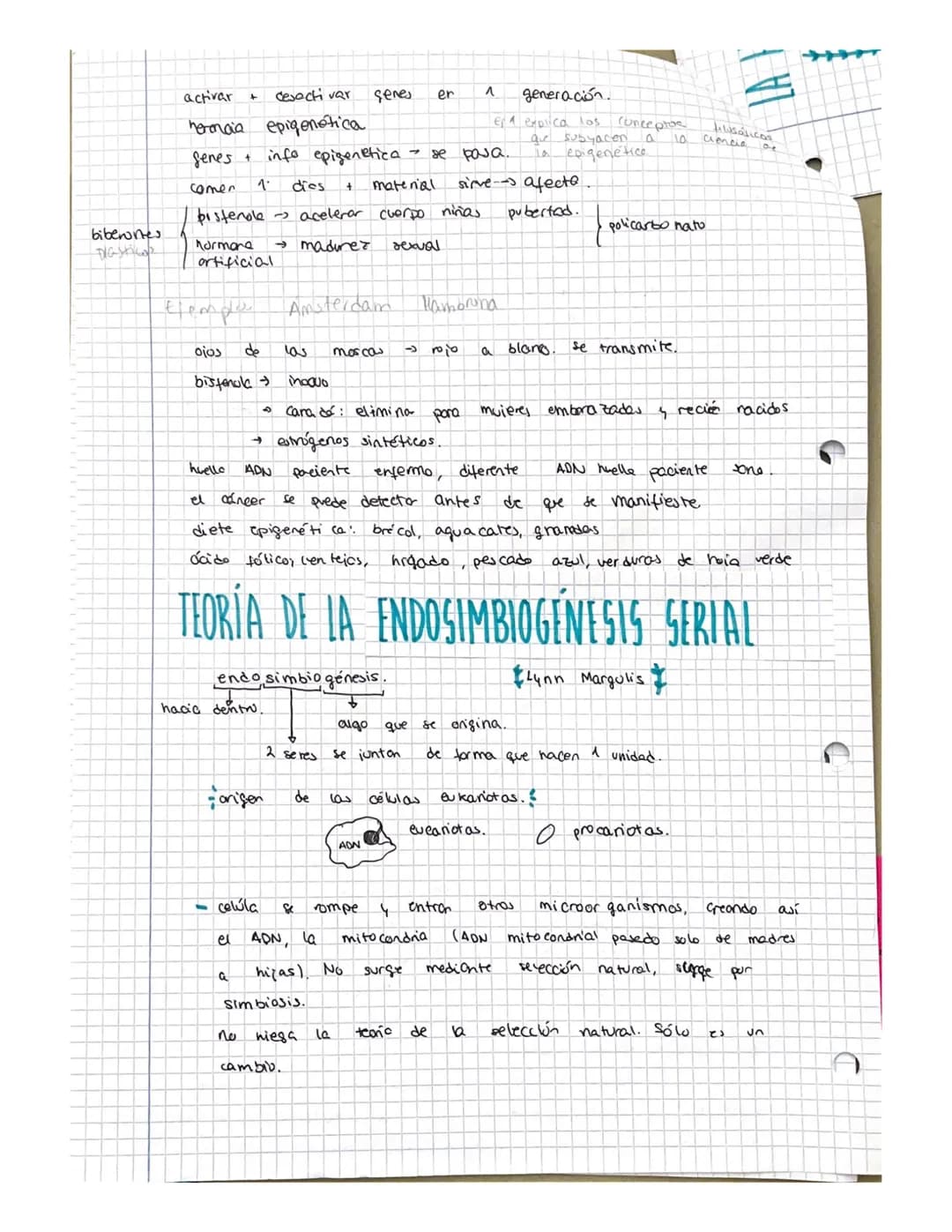 FILOSOFIA T-6
CMS
O
NATURALIZA Y CULTURA
EN 11 SER HUMANO -
BLOQUE IT SER HUMANO Y CULTURA
INTRODUCCIÓN A LA ANTROPOLOGÍA
• toda
concreto
re