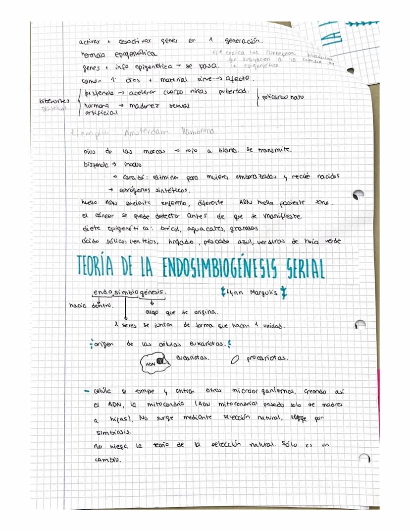 FILOSOFIA T-6
CMS
O
NATURALIZA Y CULTURA
EN 11 SER HUMANO -
BLOQUE IT SER HUMANO Y CULTURA
INTRODUCCIÓN A LA ANTROPOLOGÍA
• toda
concreto
re
