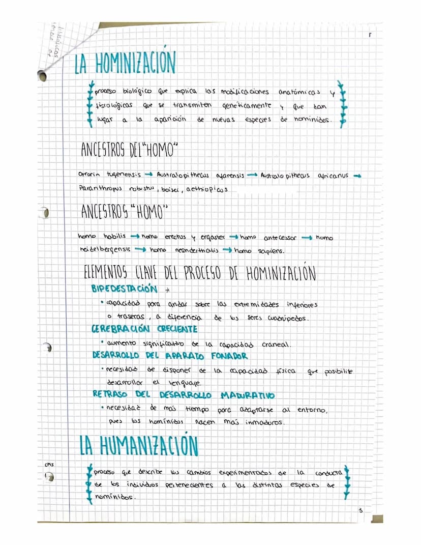 FILOSOFIA T-6
CMS
O
NATURALIZA Y CULTURA
EN 11 SER HUMANO -
BLOQUE IT SER HUMANO Y CULTURA
INTRODUCCIÓN A LA ANTROPOLOGÍA
• toda
concreto
re