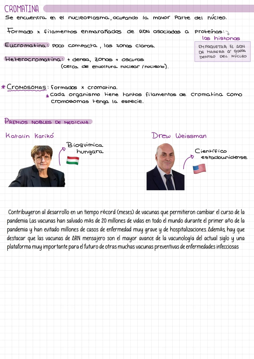 Laz
celulas Composición de la materia.
Agua (H₂O).
Gases atmosféricos.
MATERIA
INERTE
SERES
UIVOS
inorgánicos
inorgánicas. *
orgánicas.
Comp