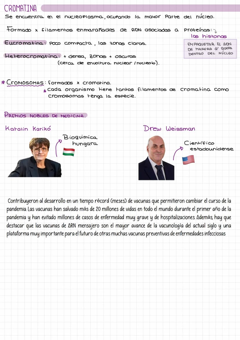 Laz
celulas Composición de la materia.
Agua (H₂O).
Gases atmosféricos.
MATERIA
INERTE
SERES
UIVOS
inorgánicos
inorgánicas. *
orgánicas.
Comp