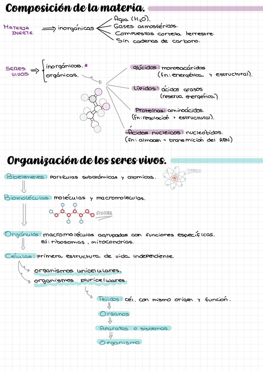 Laz
celulas Composición de la materia.
Agua (H₂O).
Gases atmosféricos.
MATERIA
INERTE
SERES
UIVOS
inorgánicos
inorgánicas. *
orgánicas.
Comp