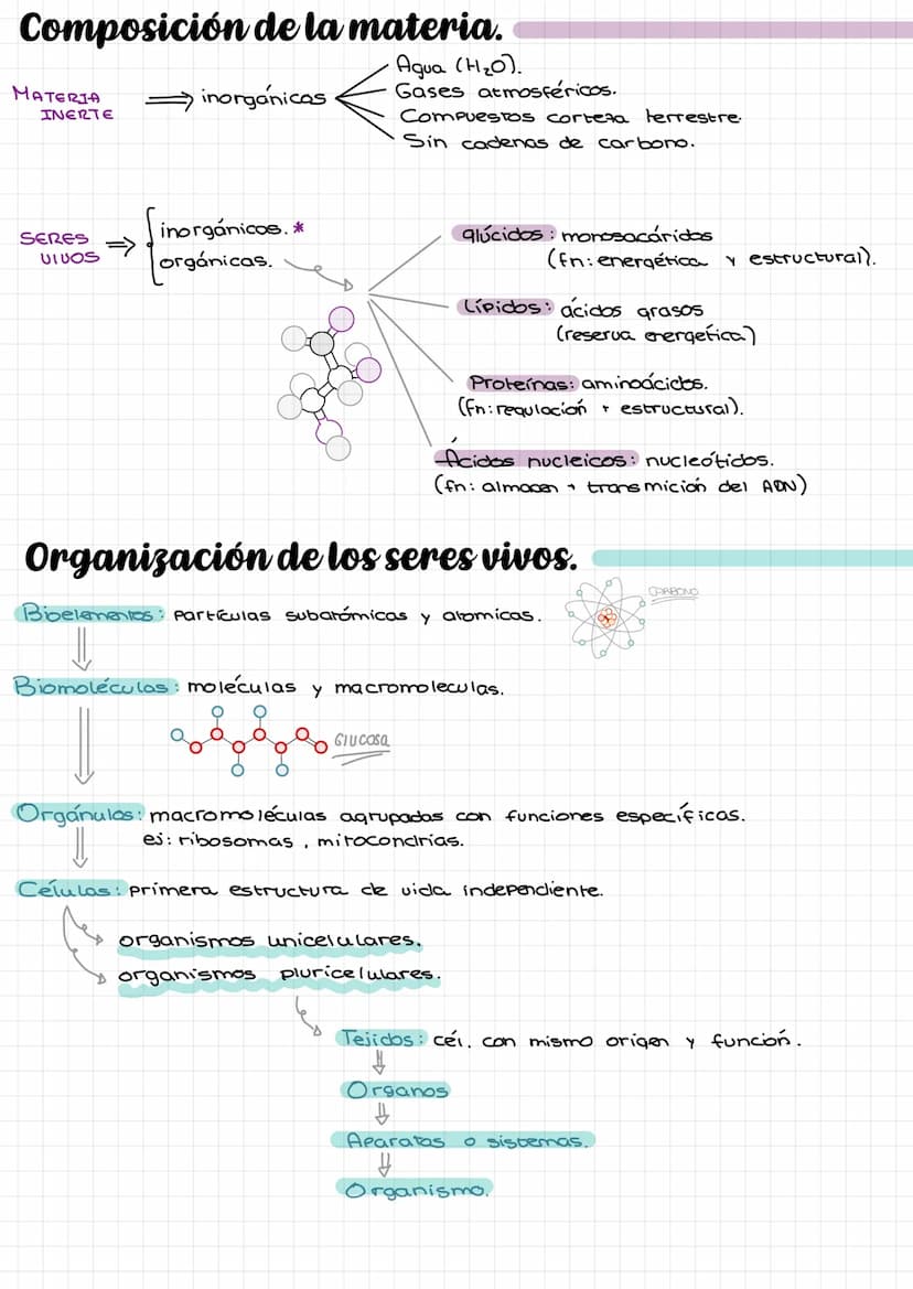Laz
celulas Composición de la materia.
Agua (H₂O).
Gases atmosféricos.
MATERIA
INERTE
SERES
UIVOS
inorgánicos
inorgánicas. *
orgánicas.
Comp