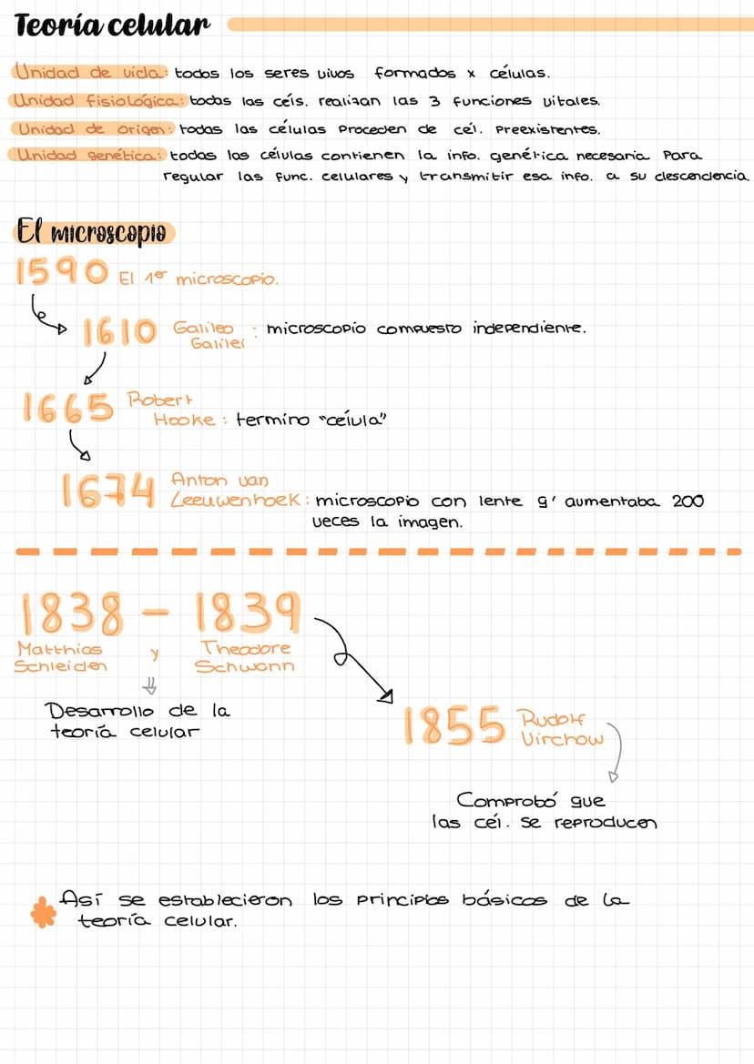 Laz
celulas Composición de la materia.
Agua (H₂O).
Gases atmosféricos.
MATERIA
INERTE
SERES
UIVOS
inorgánicos
inorgánicas. *
orgánicas.
Comp