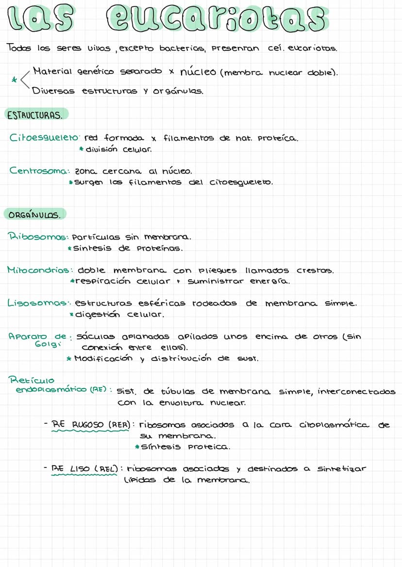 Laz
celulas Composición de la materia.
Agua (H₂O).
Gases atmosféricos.
MATERIA
INERTE
SERES
UIVOS
inorgánicos
inorgánicas. *
orgánicas.
Comp