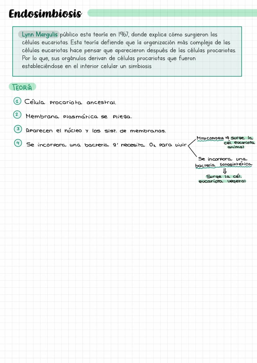 Laz
celulas Composición de la materia.
Agua (H₂O).
Gases atmosféricos.
MATERIA
INERTE
SERES
UIVOS
inorgánicos
inorgánicas. *
orgánicas.
Comp