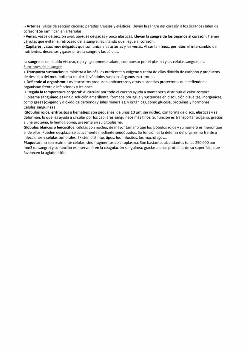 Aparato digestivo
Está formado por el tubo digestivo y las glándulas digestivas.
Tubo digestivo: largo conducto compuesto por boca, faringe,
