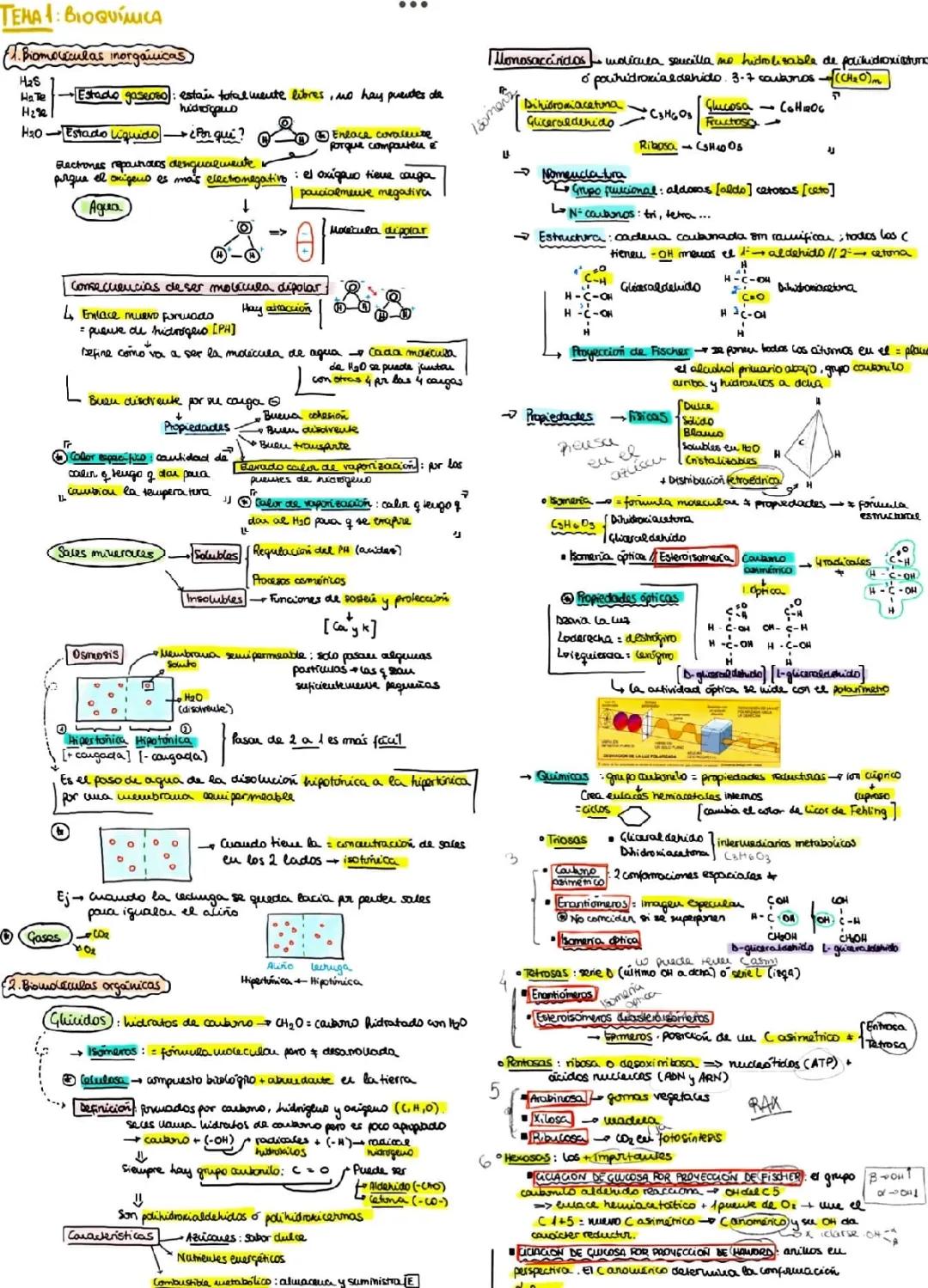 ¡Descubre las Biomoléculas y sus Propiedades! - Clase de Bioquímica 1° Bachillerato