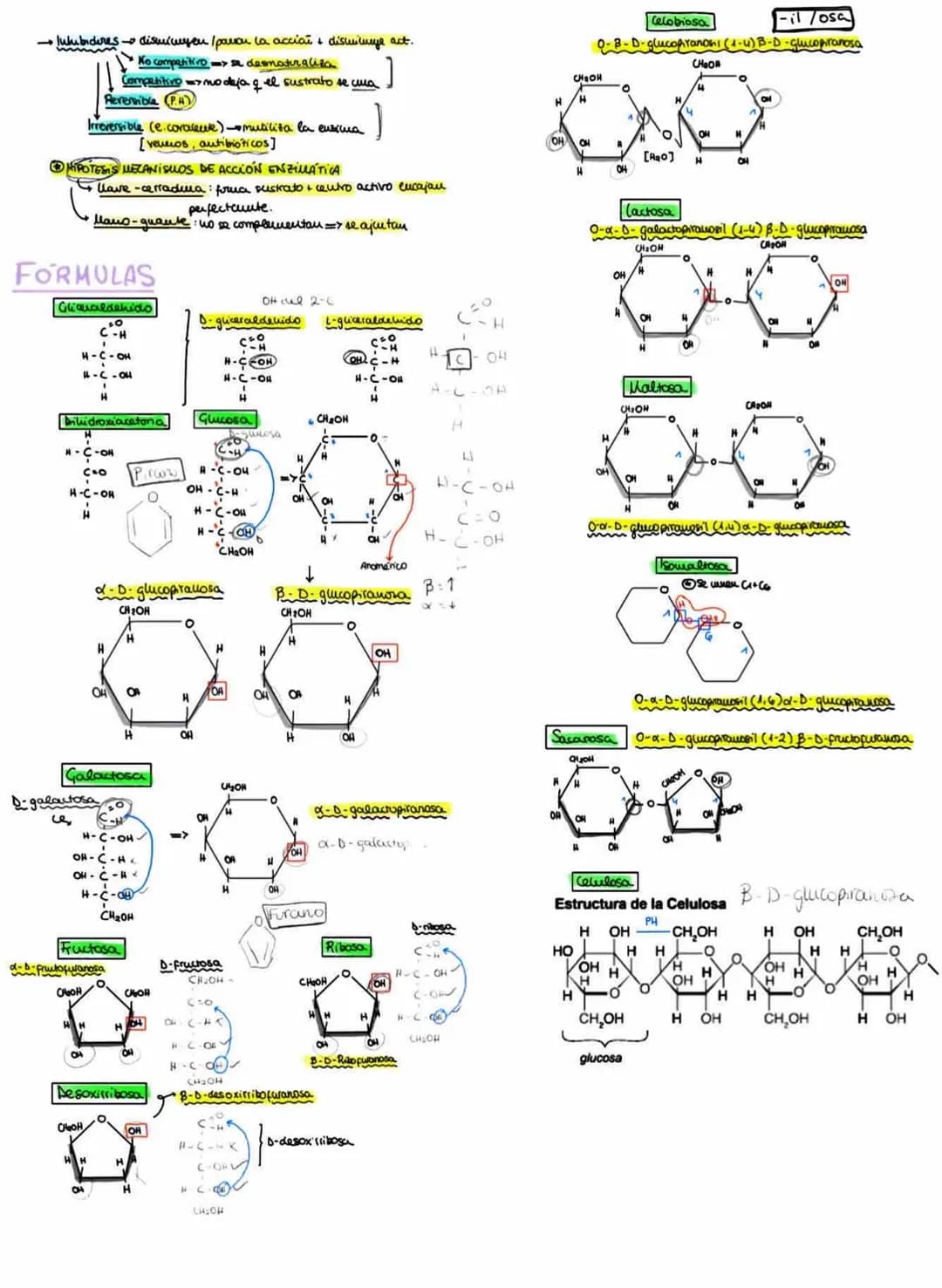 TEMA 1: βιοQuímica
1. Biomoléculas inorganicas
H₂S
Ha Te
H₂se
H₂O
Estado liquido
Rectrones repartidos desigualmente
porque el oxigeno es mas