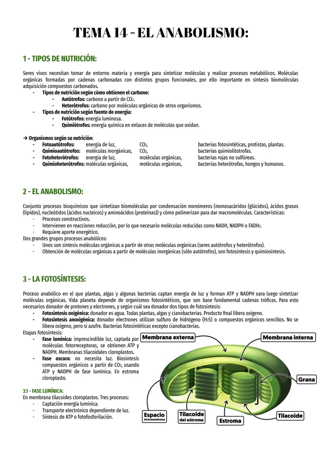 TEMA 14-EL ANABOLISMO:
1-TIPOS DE NUTRICIÓN:
Seres vivos necesitan tomar de entorno materia y energía para sintetizar moléculas y realizar p