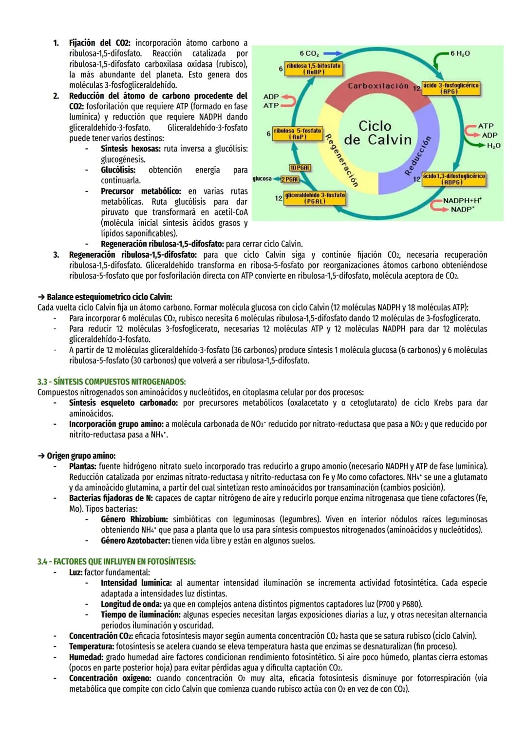 TEMA 14-EL ANABOLISMO:
1-TIPOS DE NUTRICIÓN:
Seres vivos necesitan tomar de entorno materia y energía para sintetizar moléculas y realizar p