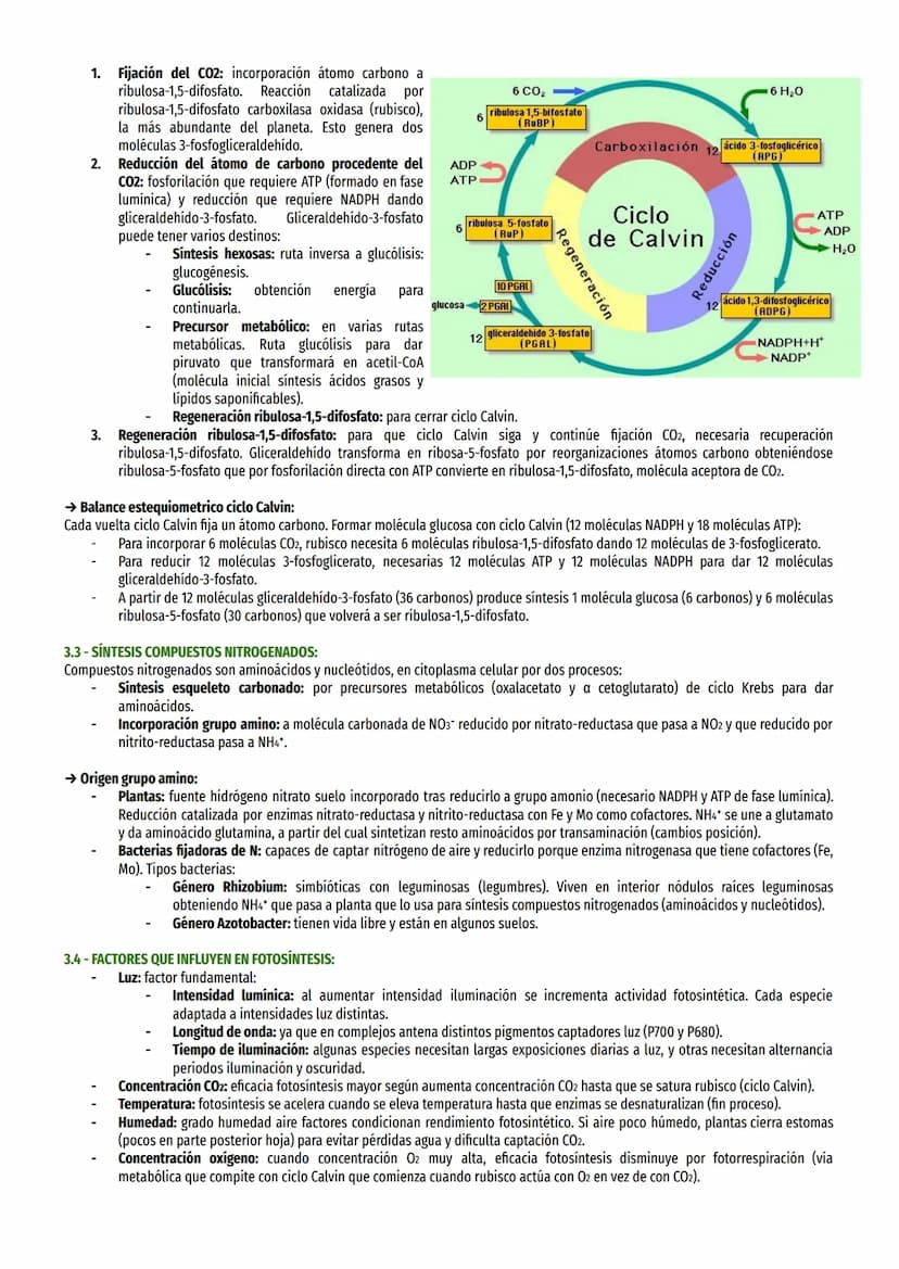 TEMA 14-EL ANABOLISMO:
1-TIPOS DE NUTRICIÓN:
Seres vivos necesitan tomar de entorno materia y energía para sintetizar moléculas y realizar p