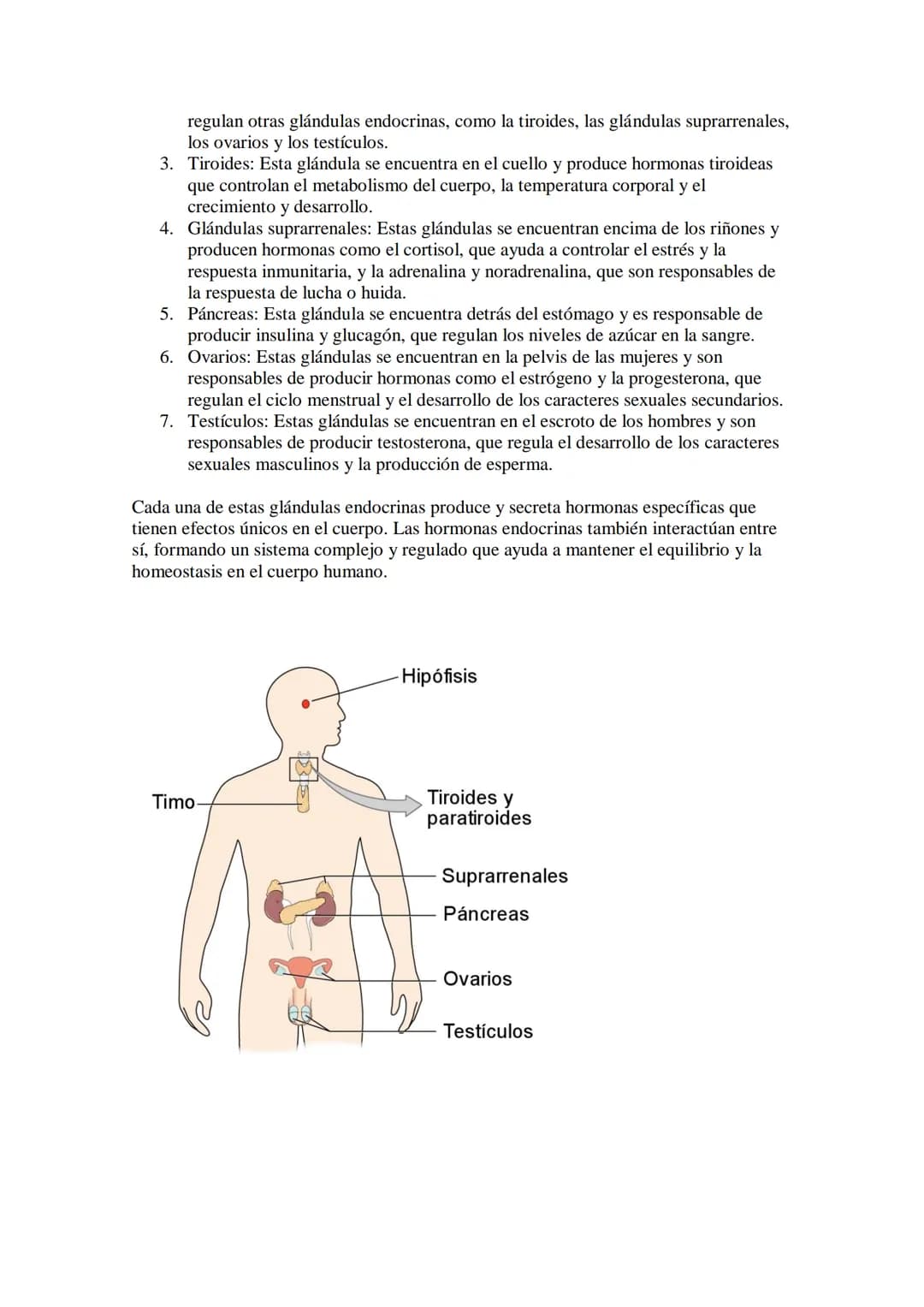 EL SISTEMA ENDOCRINO
El sistema endocrino es un sistema de comunicación del cuerpo humano que trabaja en
conjunto con el sistema nervioso pa