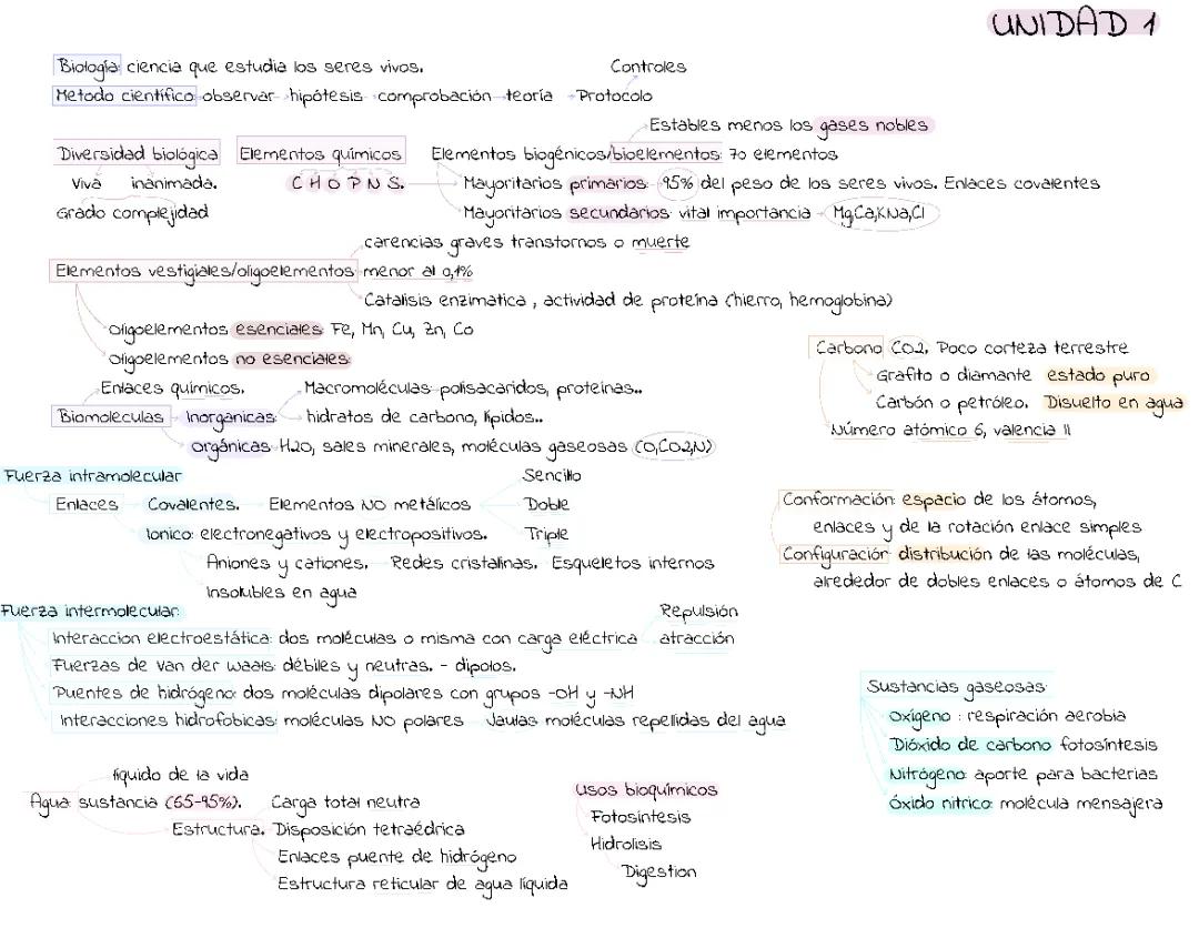 Esquema Propiedades del Agua, Disoluciones y Sistemas Buffer