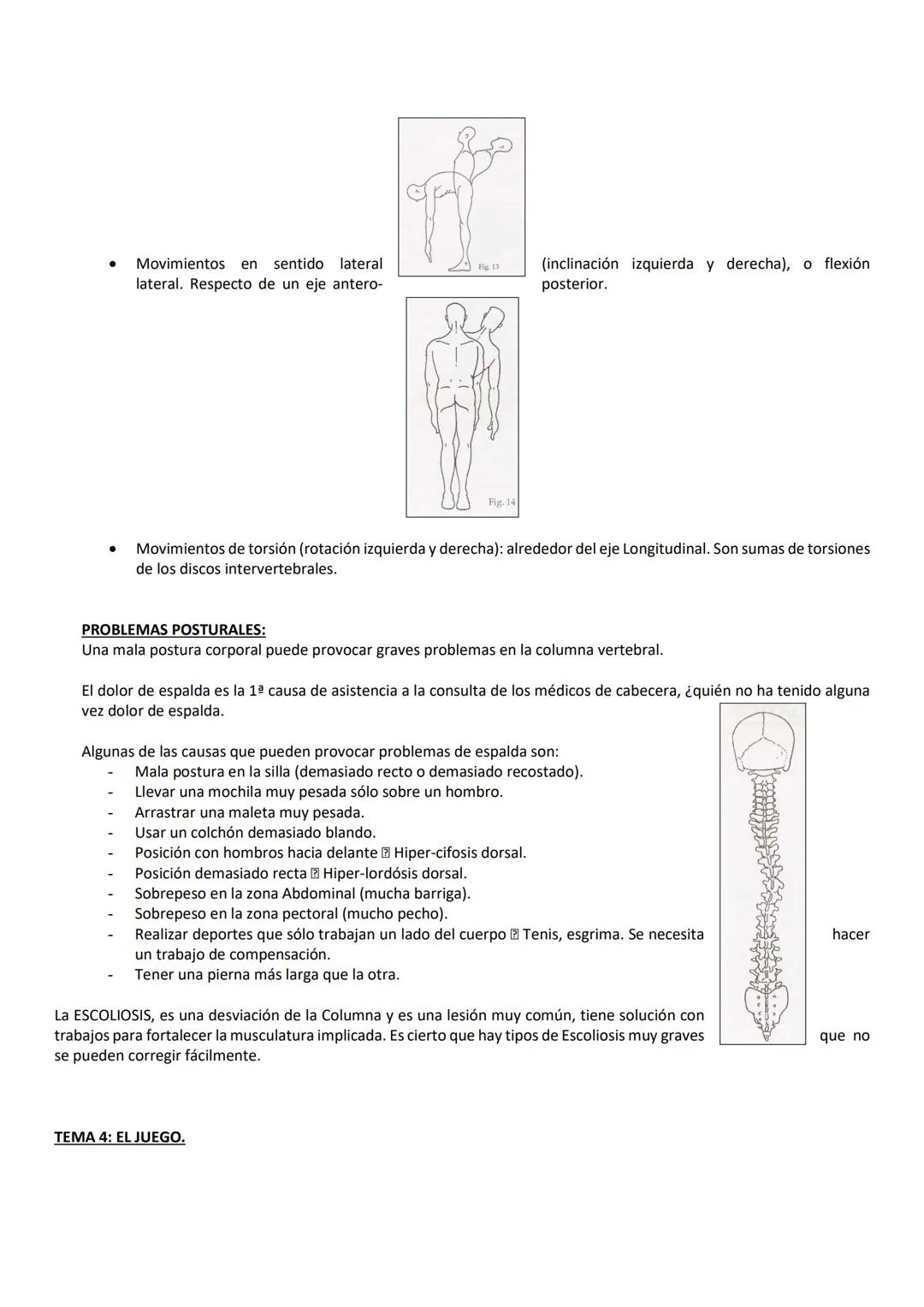 TEMA 1: LA NUTRICIÓN
La energía que necesitamos depende del gasto energético que hagamos, el cual está en función de nuestros hábitos de
vid