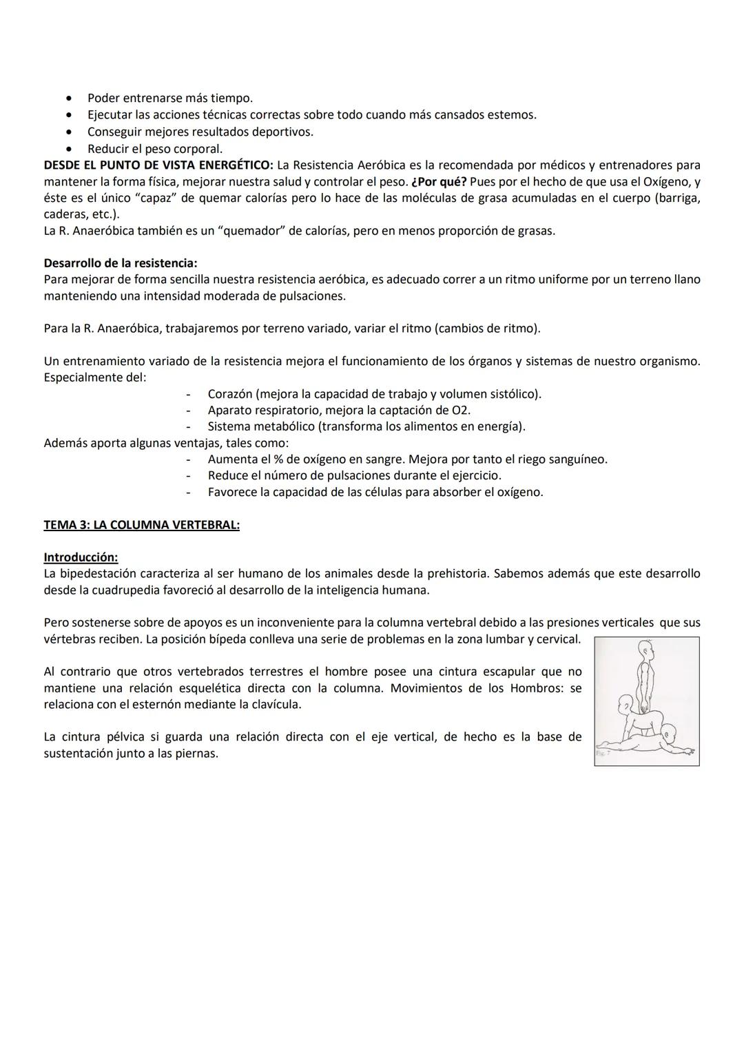 TEMA 1: LA NUTRICIÓN
La energía que necesitamos depende del gasto energético que hagamos, el cual está en función de nuestros hábitos de
vid