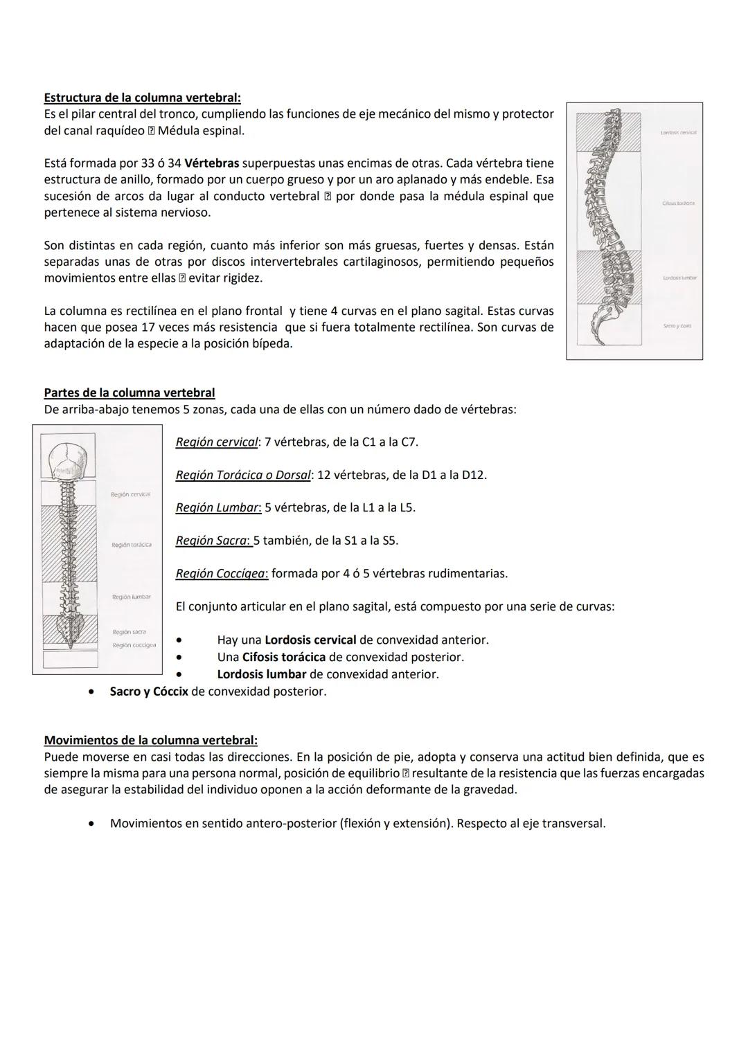TEMA 1: LA NUTRICIÓN
La energía que necesitamos depende del gasto energético que hagamos, el cual está en función de nuestros hábitos de
vid