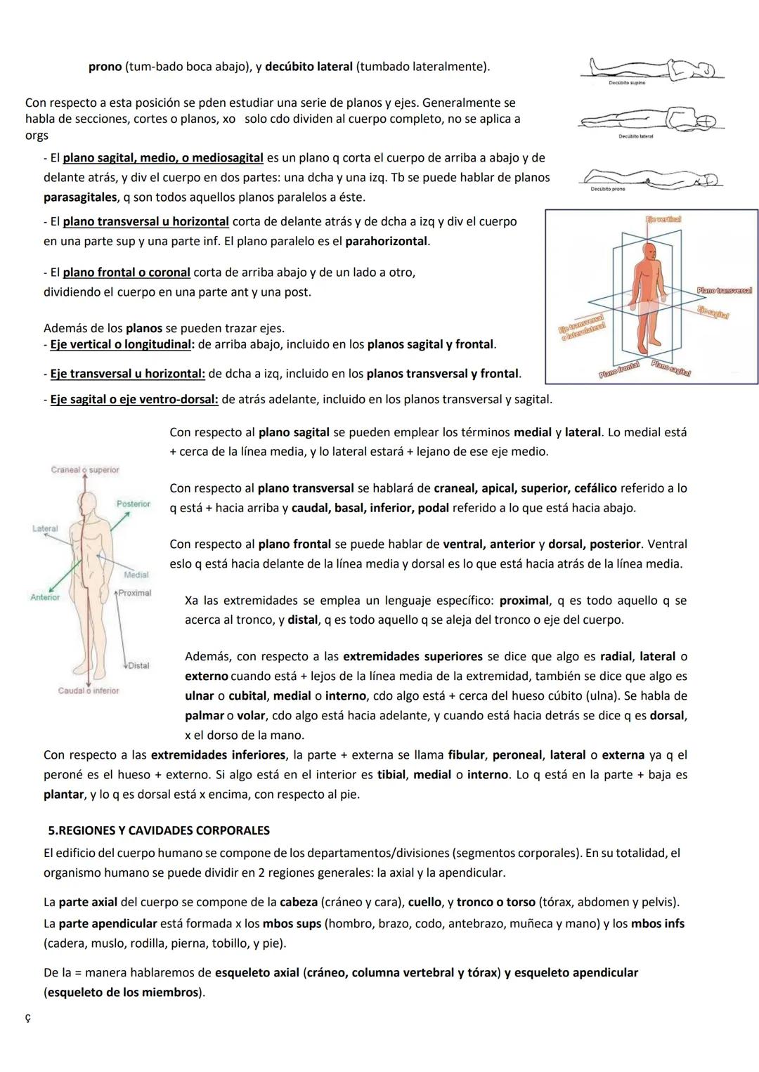 INTRODUCCIÓN A LA ANATOMÍA HUMANA: LECCIÓN 1
La Anatomía es el estudio de la estruct de los cuerpos organizados y se estudia x la disección.