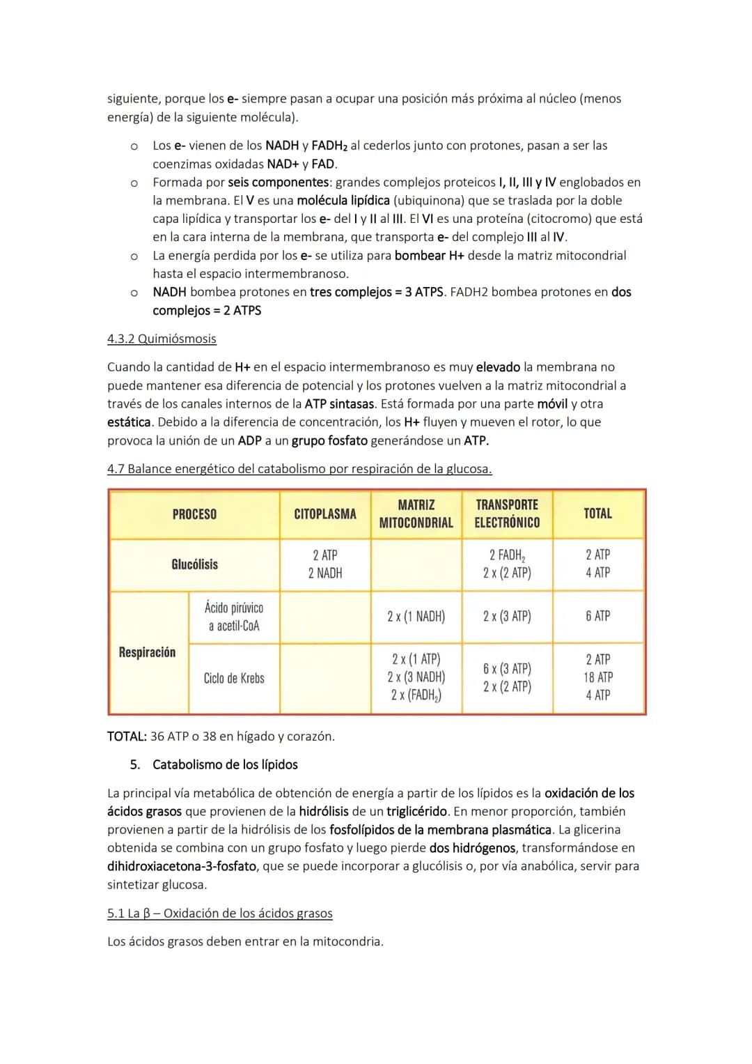 TEMA 10. El catabolismo
1. Energía y catabolismo
CANABOLISMO
Son reacciones de degradación de
moléculas orgánicas complejas en otras
más sen