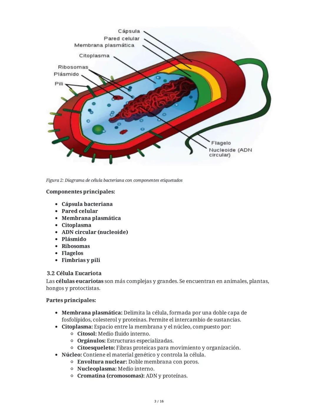 Resumen de Biología: Niveles de Organización, Células, Salud y
Enfermedad
1. Niveles de Organización de los Seres Vivos
1.1 Niveles Abiótico