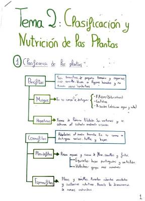 Know Clasificación y nutrición de las plantas. thumbnail