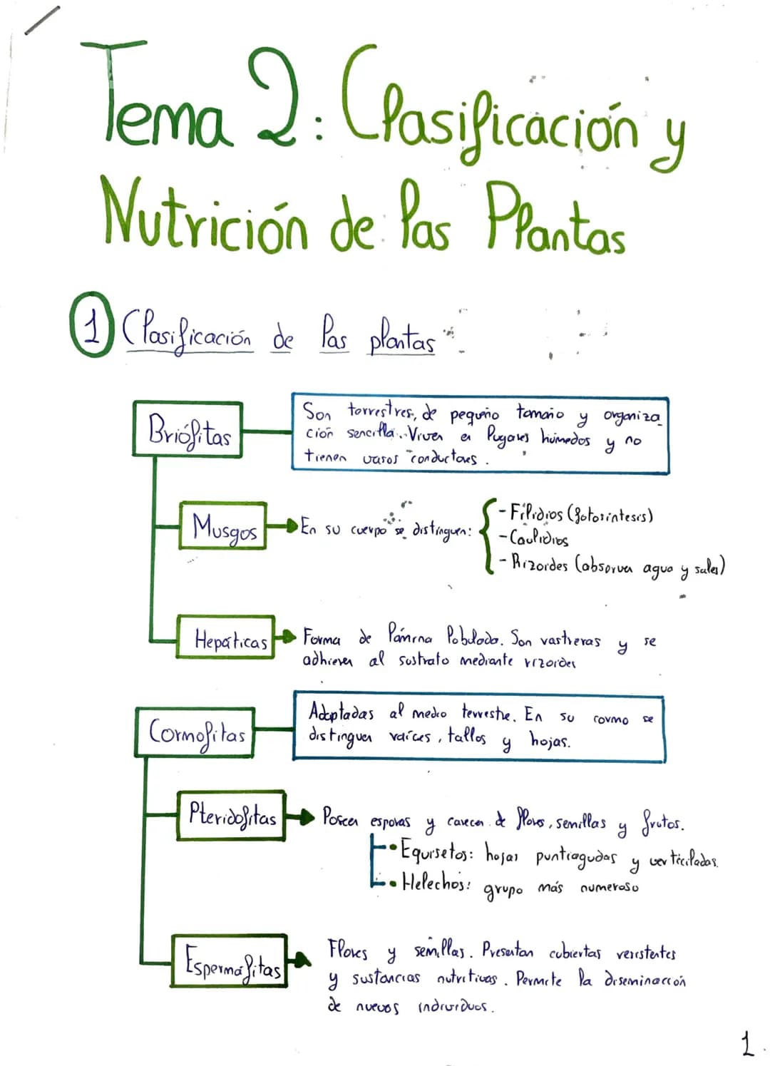 Tema 2: CRasificación y
Nutrición de las Plantas
+
Clasificación de las plantas"
Briófitas
Musgos
Hepaticas
Cormofitas
Son terrestres, de pe