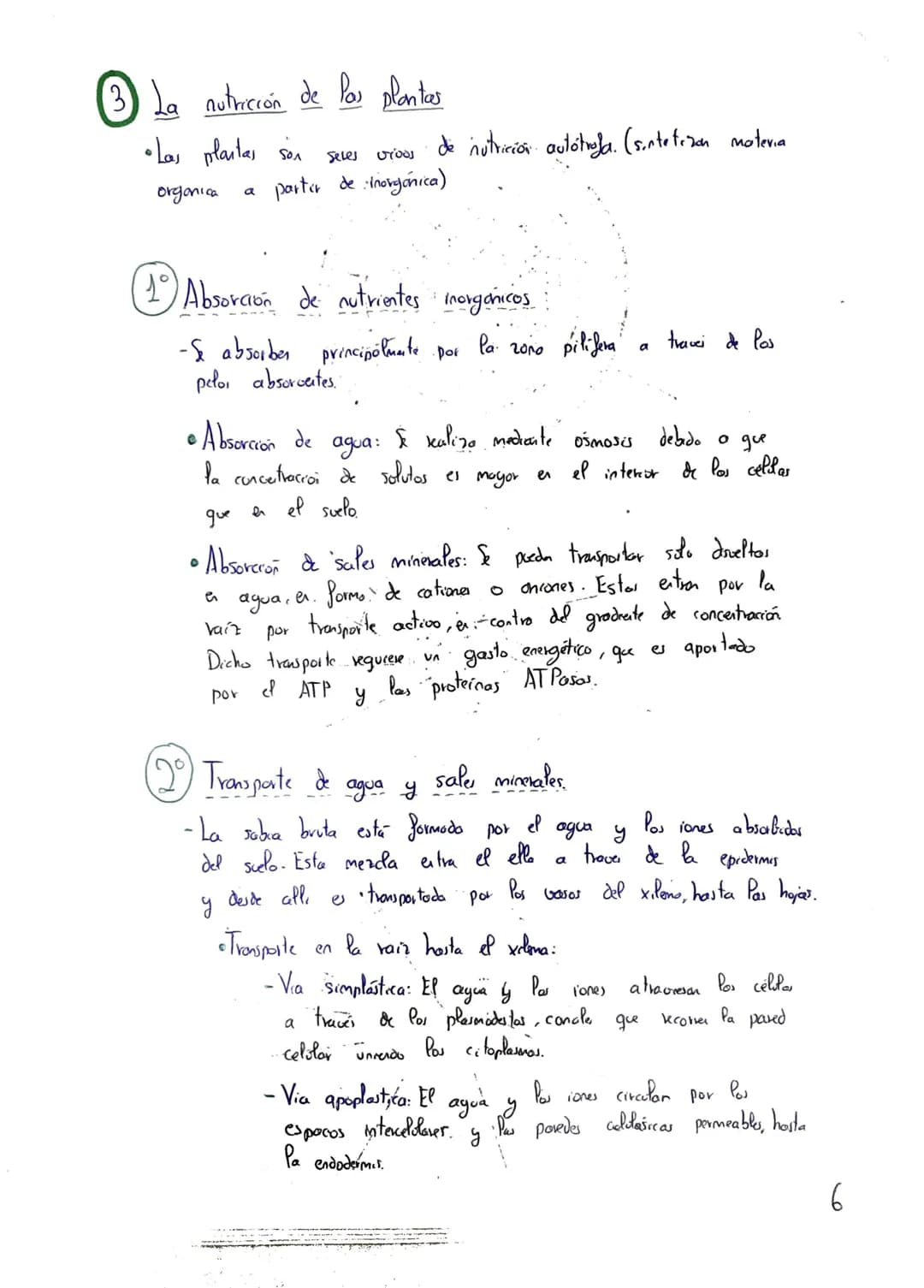 Tema 2: CRasificación y
Nutrición de las Plantas
+
Clasificación de las plantas"
Briófitas
Musgos
Hepaticas
Cormofitas
Son terrestres, de pe