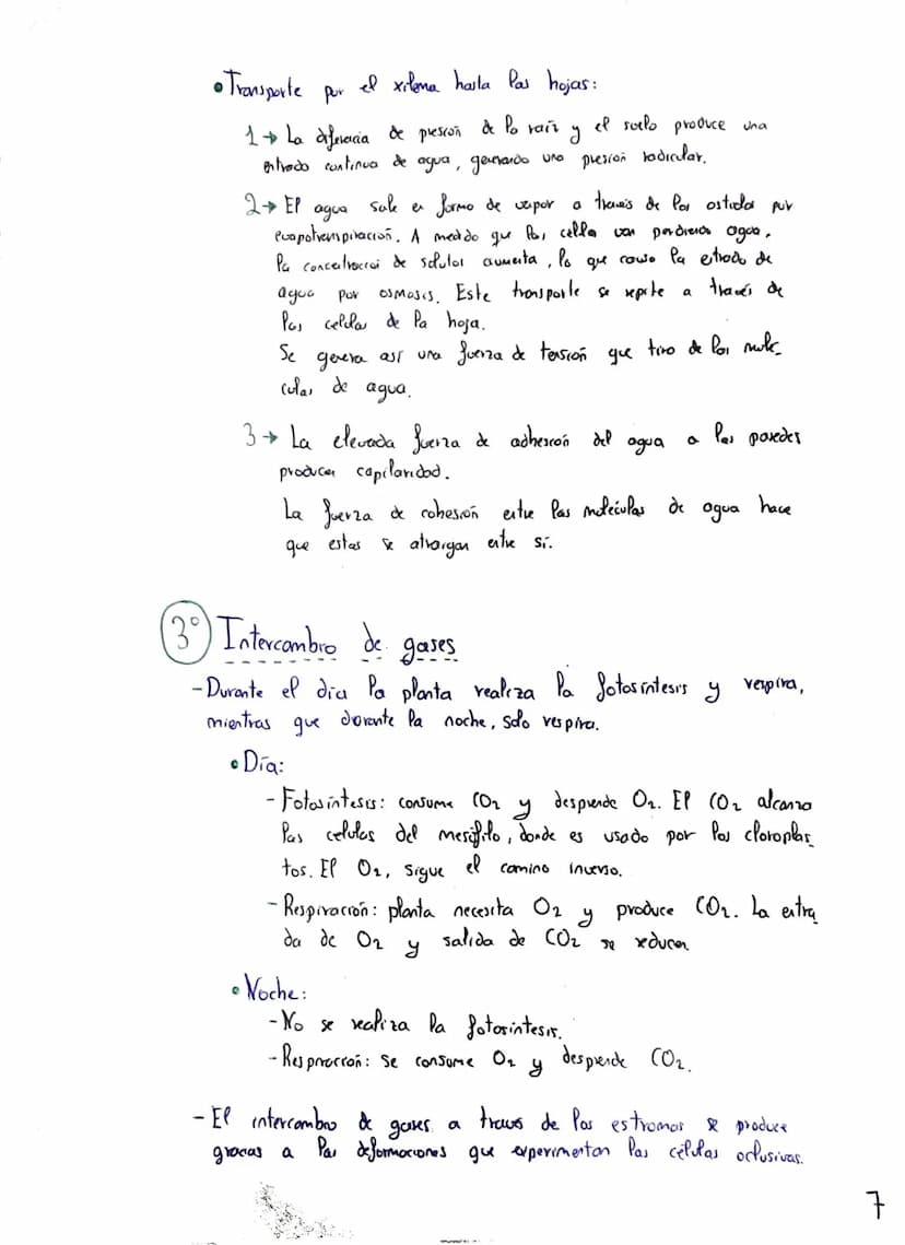 Tema 2: CRasificación y
Nutrición de las Plantas
+
Clasificación de las plantas"
Briófitas
Musgos
Hepaticas
Cormofitas
Son terrestres, de pe