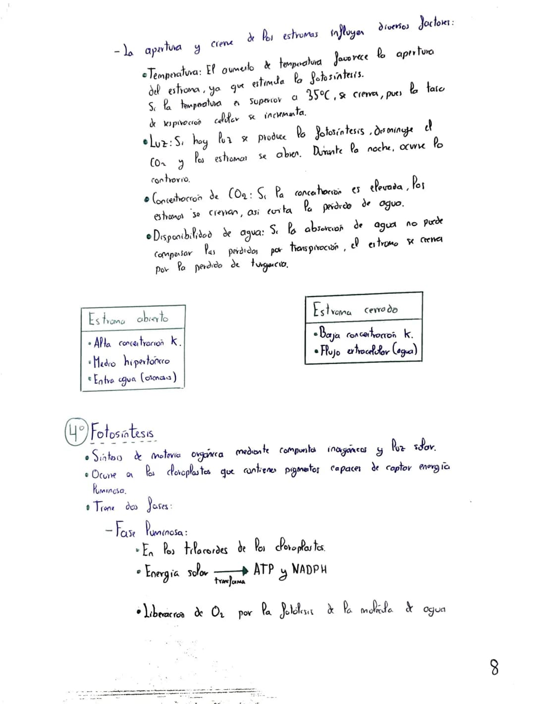 Tema 2: CRasificación y
Nutrición de las Plantas
+
Clasificación de las plantas"
Briófitas
Musgos
Hepaticas
Cormofitas
Son terrestres, de pe