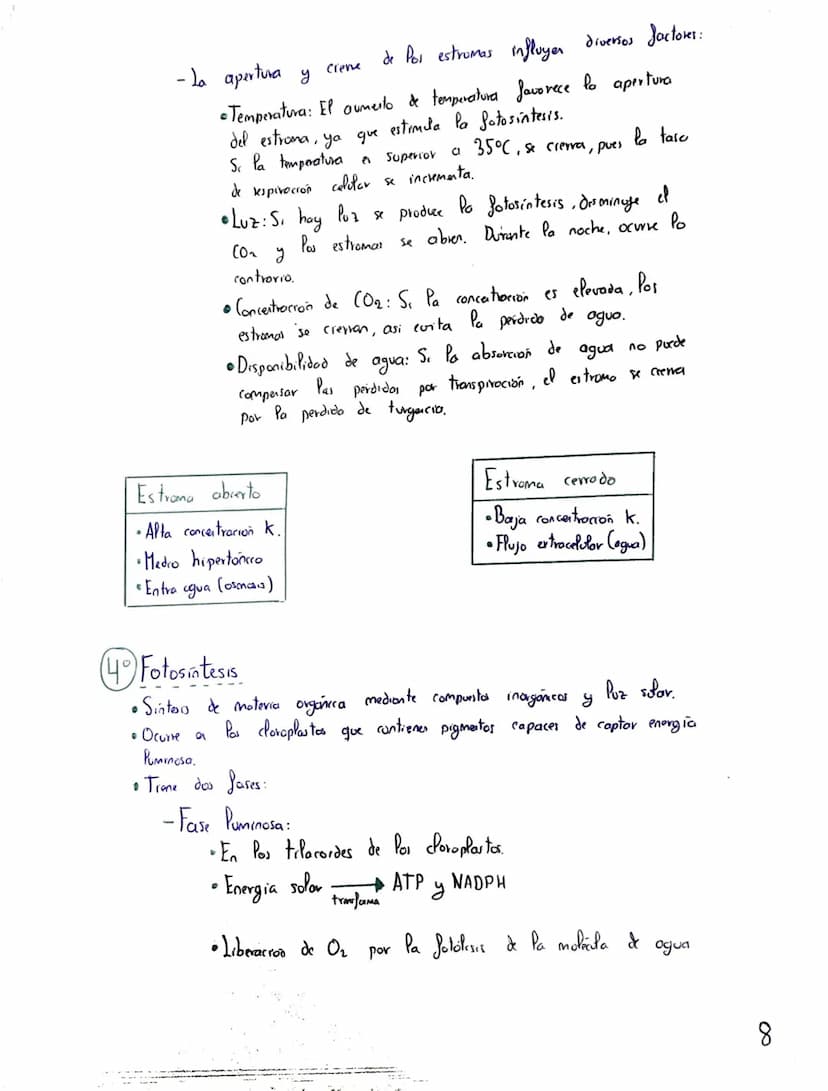 Tema 2: CRasificación y
Nutrición de las Plantas
+
Clasificación de las plantas"
Briófitas
Musgos
Hepaticas
Cormofitas
Son terrestres, de pe