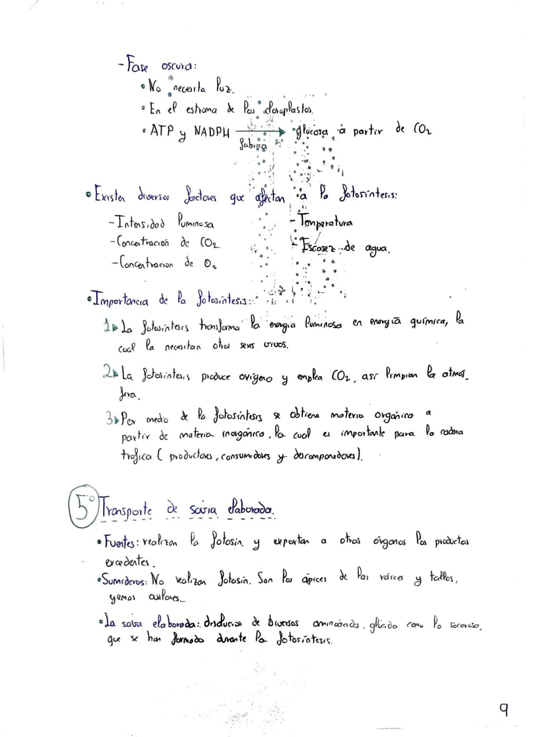 Tema 2: CRasificación y
Nutrición de las Plantas
+
Clasificación de las plantas"
Briófitas
Musgos
Hepaticas
Cormofitas
Son terrestres, de pe