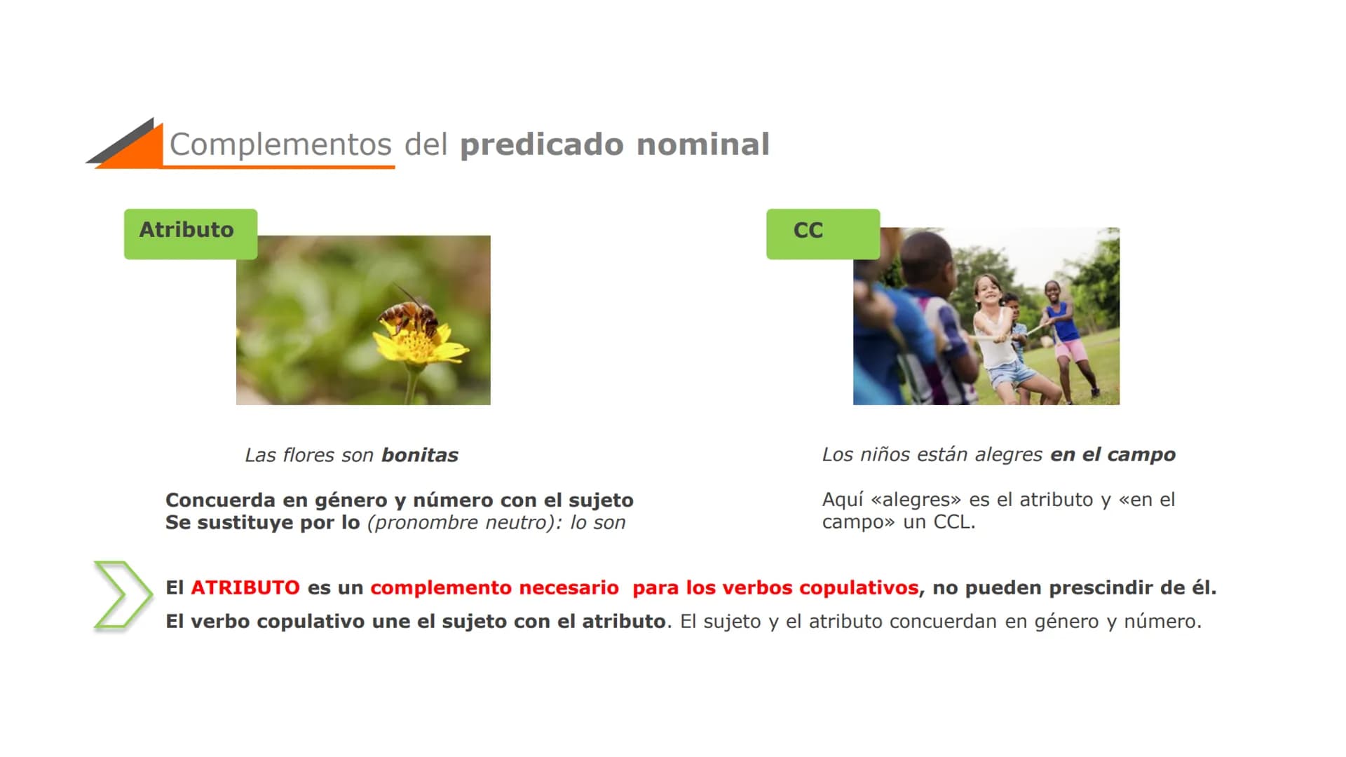 Ejercicios de Oraciones Simples y Compuestas: PDF y Ejemplos Divertidos
