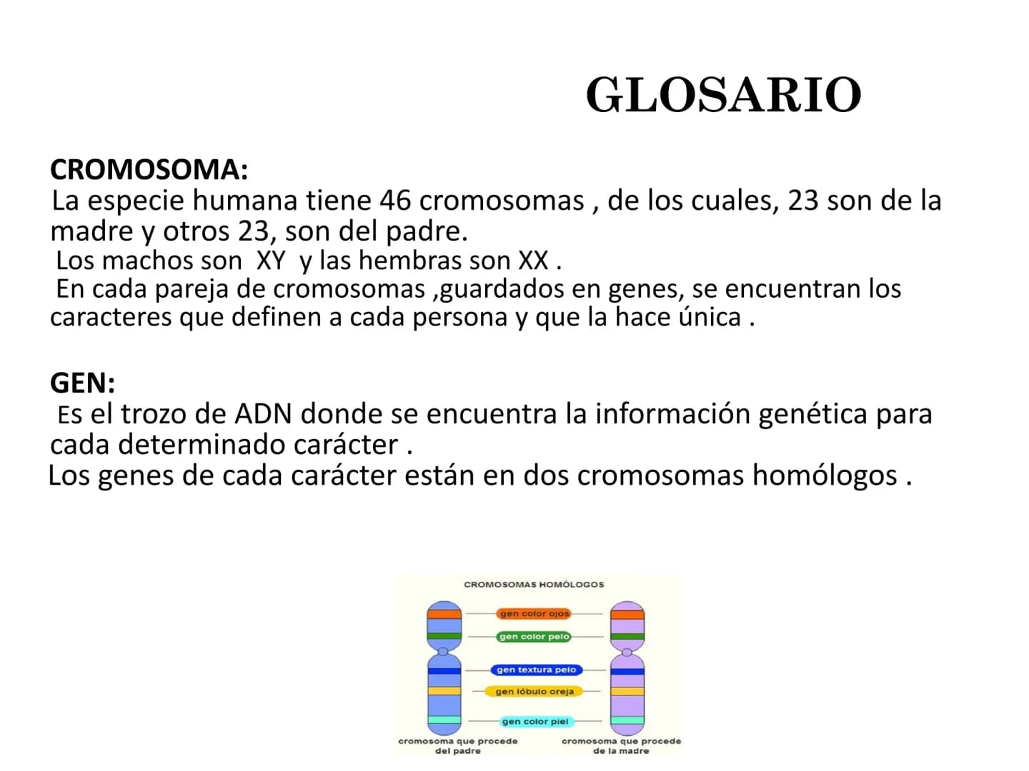 CROMOSOMA:
La especie humana tiene 46 cromosomas, de los cuales, 23 son de la
madre y otros 23, son del padre.
Los machos son XY y las hembr