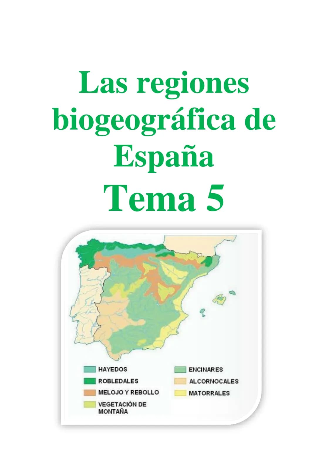 Las regiones
biogeográfica de
España
Tema 5
HAYEDOS
ROBLEDALES
MELOJO Y REBOLLO
VEGETACIÓN DE
MONTANA
ENCINARES
ALCORNOCALES
MATORRALES TEMA