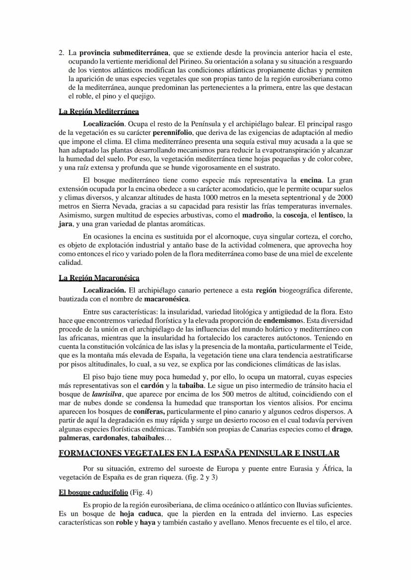 Las regiones
biogeográfica de
España
Tema 5
HAYEDOS
ROBLEDALES
MELOJO Y REBOLLO
VEGETACIÓN DE
MONTANA
ENCINARES
ALCORNOCALES
MATORRALES TEMA