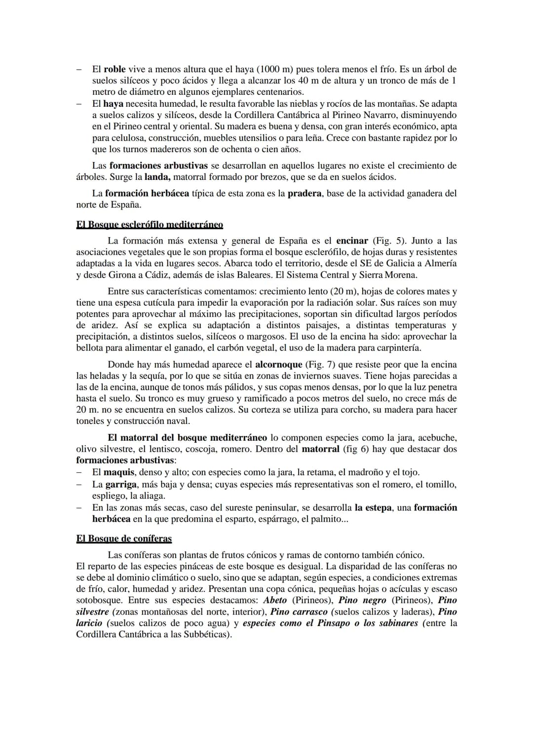 Las regiones
biogeográfica de
España
Tema 5
HAYEDOS
ROBLEDALES
MELOJO Y REBOLLO
VEGETACIÓN DE
MONTANA
ENCINARES
ALCORNOCALES
MATORRALES TEMA