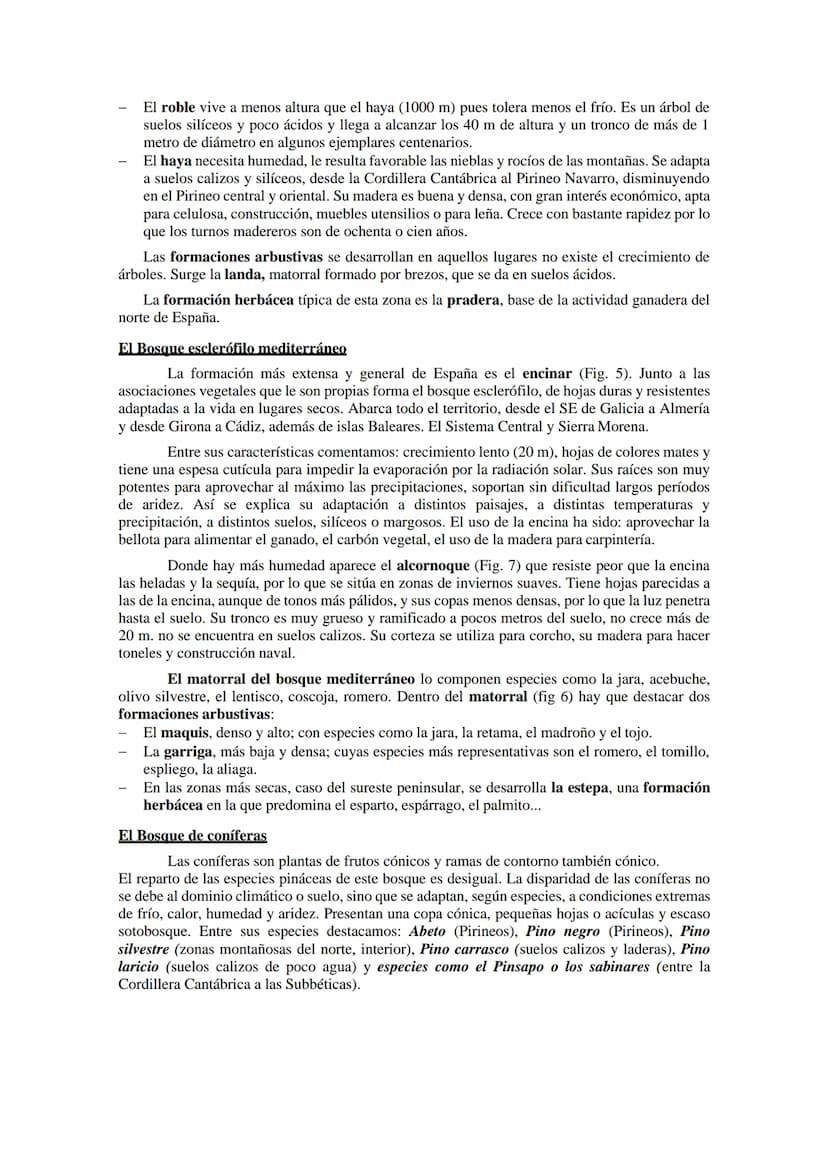 Las regiones
biogeográfica de
España
Tema 5
HAYEDOS
ROBLEDALES
MELOJO Y REBOLLO
VEGETACIÓN DE
MONTANA
ENCINARES
ALCORNOCALES
MATORRALES TEMA