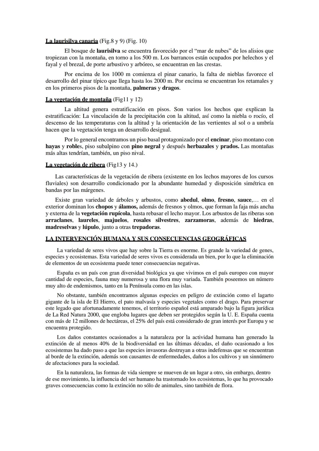 Las regiones
biogeográfica de
España
Tema 5
HAYEDOS
ROBLEDALES
MELOJO Y REBOLLO
VEGETACIÓN DE
MONTANA
ENCINARES
ALCORNOCALES
MATORRALES TEMA