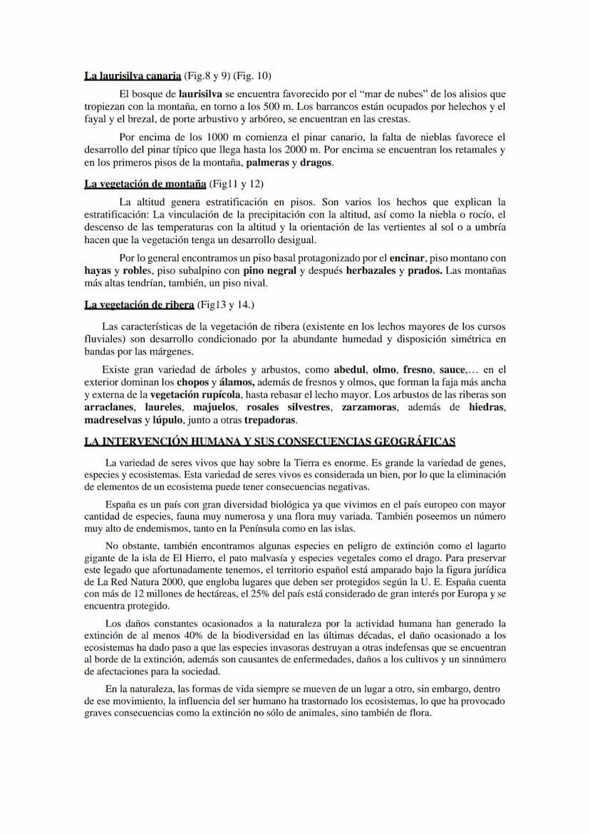 Las regiones
biogeográfica de
España
Tema 5
HAYEDOS
ROBLEDALES
MELOJO Y REBOLLO
VEGETACIÓN DE
MONTANA
ENCINARES
ALCORNOCALES
MATORRALES TEMA