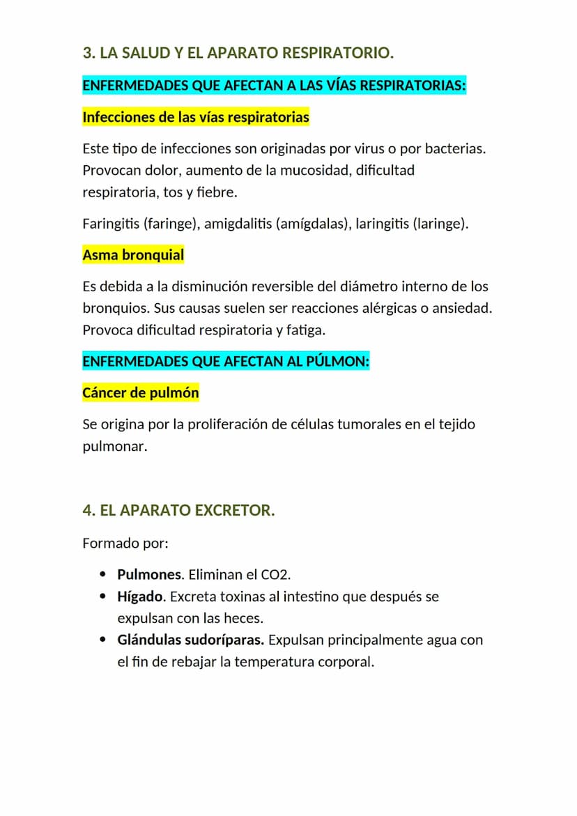 <h2 id="elaparatorespiratorioysuspartes">El aparato respiratorio y sus partes</h2>
<p>El aparato respiratorio es un conjunto de órganos que 